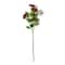Burgundy Ranunculus Spray by Ashland®